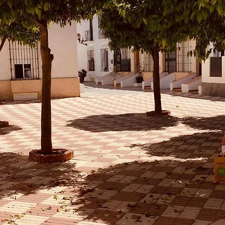 Acogedor La Apartamento